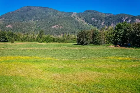 3705 HOT SPRINGS ROAD image #3