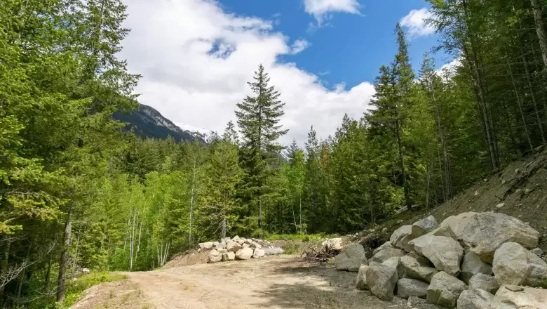 8954 PEMBERTON PORTAGE ROAD image #1