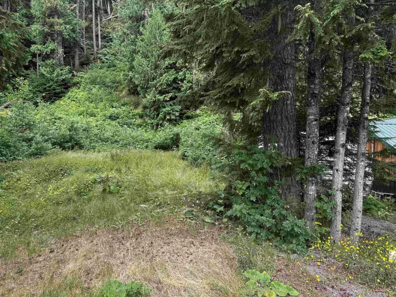 15211 CEDAR BOULEVARD image #1
