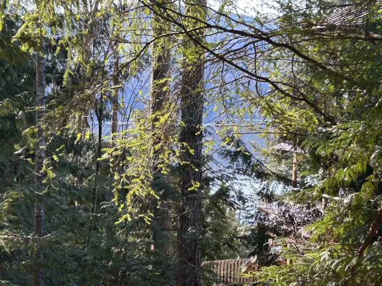 LOT 71 KLAHANIE DRIVE image #1
