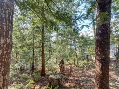LOT 71 KLAHANIE DRIVE image #3