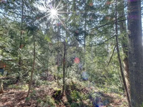 LOT 71 KLAHANIE DRIVE image #4