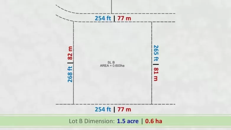 12121 COUGHLIN COURT image #1