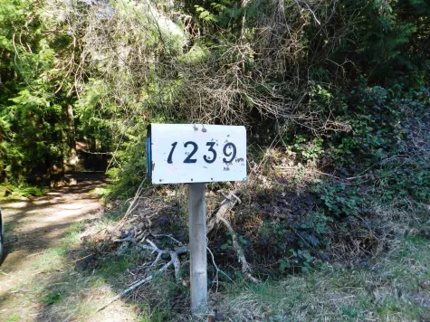1239 LOCKYER ROAD image #4
