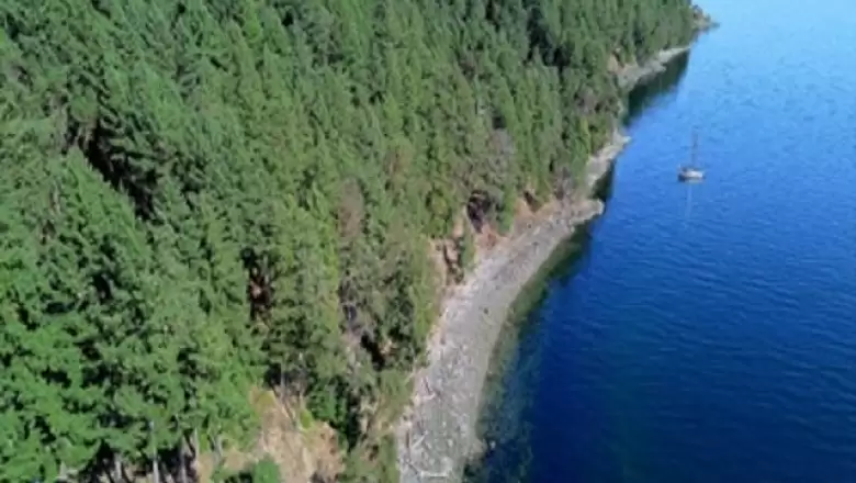 1155 MOUNTAIN ROAD image #1