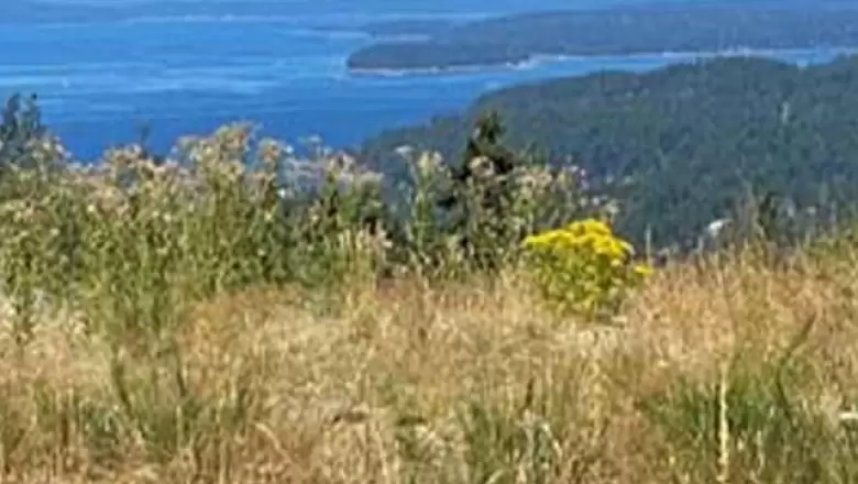 Lot 11 SOUTHERN WAY, Salt Spring Island, BC