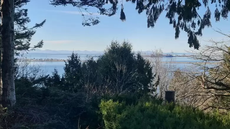 571 ENGLISH BLUFF ROAD image #1
