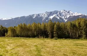 LOT 1 PEMBERTON FARM ROAD, Pemberton, Pemberton, BC