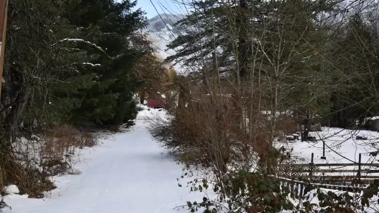 64880 VICTORIA STREET image #1