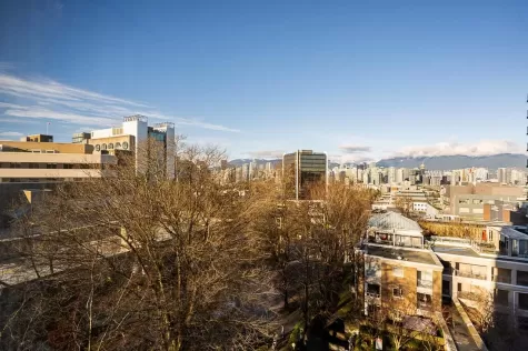 802 2668 ASH STREET image #2