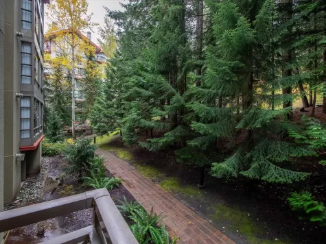 478 4090 WHISTLER WAY image #3