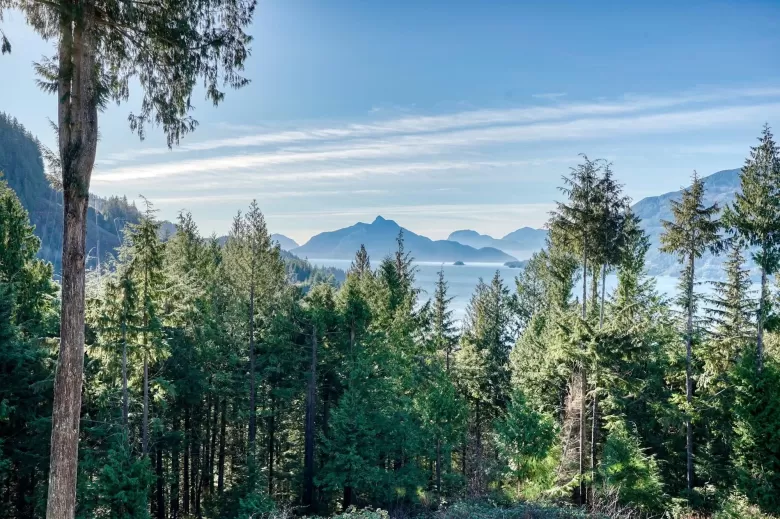 1024 GOAT RIDGE DRIVE, Squamish, BC for sale