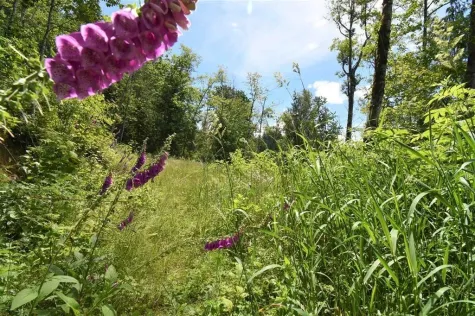 48875 ELK VIEW ROAD image #1