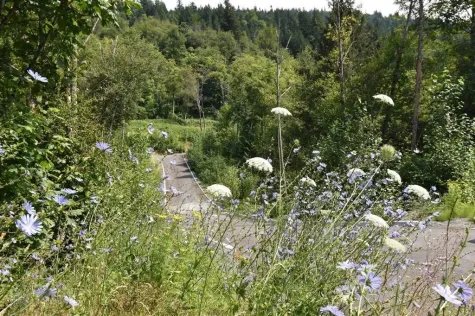 48875 ELK VIEW ROAD image #2