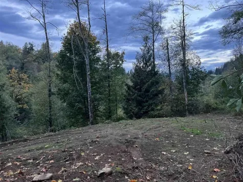 48875 ELK VIEW ROAD image #3