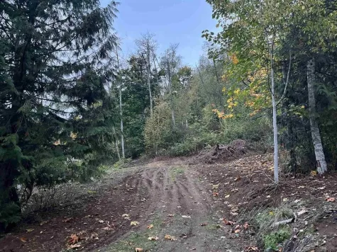 48875 ELK VIEW ROAD image #4