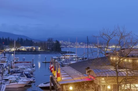 L302 1550 COAL HARBOUR QUAY image #3