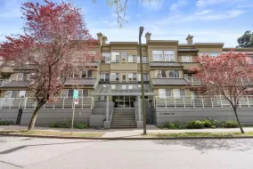 104 650 MOBERLY ROAD, Vancouver West, Vancouver, BC