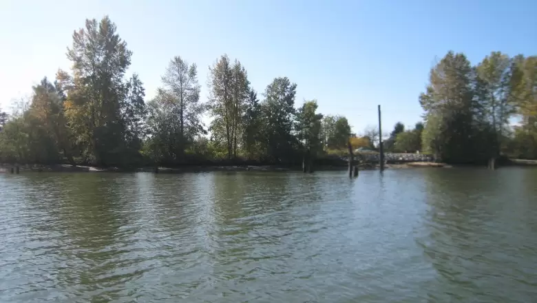 18471 RIVER ROAD image #1