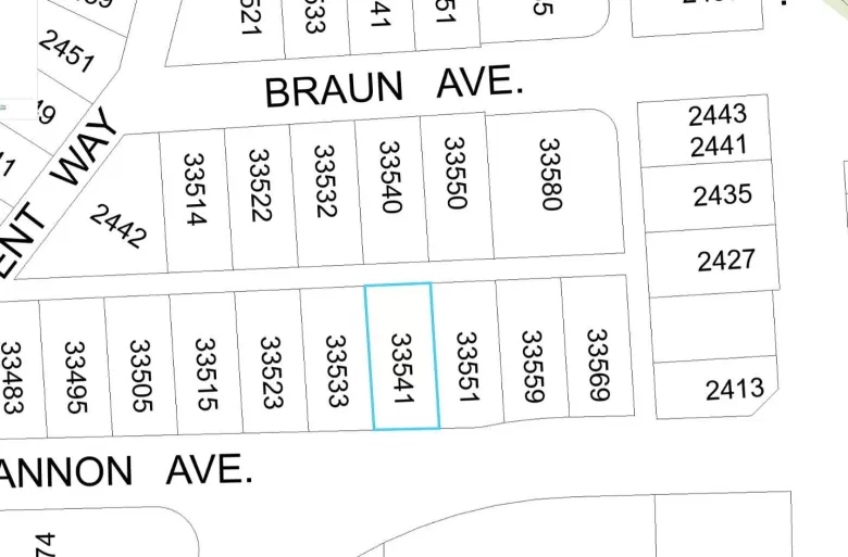 33541 CANNON AVENUE image #1