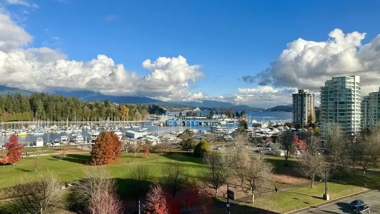 903 1925 ALBERNI STREET image #1