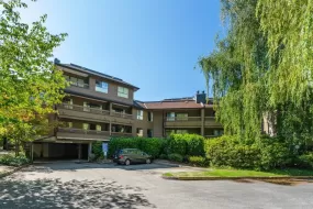 141 7451 MINORU BOULEVARD, Richmond, Richmond, BC