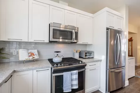 20580 84A AVENUE image #4