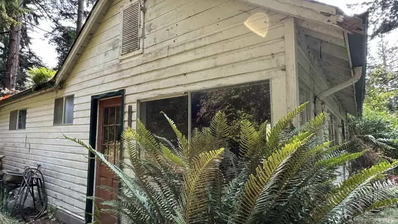1154 ROBERTS CREEK ROAD image #1