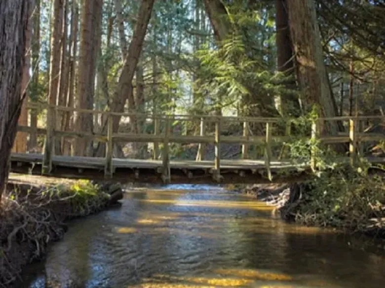 2491 FULFORD-GANGES ROAD image #1