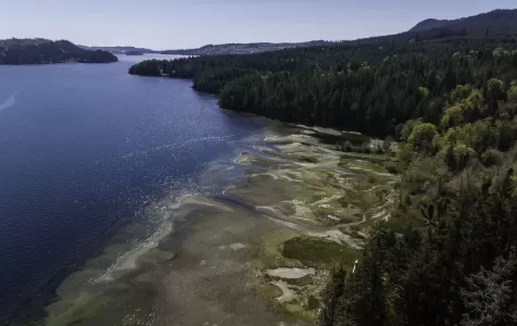 DL3047 SECHELT INLET image #2