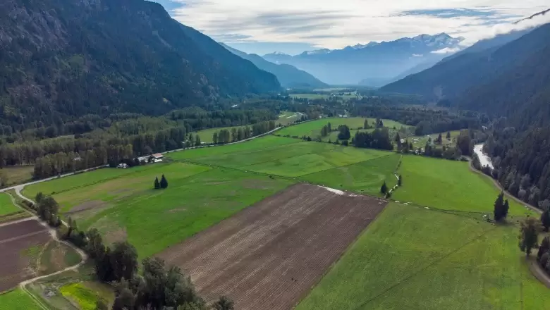 8573 PEMBERTON MEADOWS ROAD, Pemberton, BC