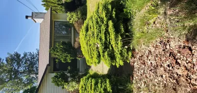 6437 KING GEORGE BOULEVARD, Surrey, Surrey, BC