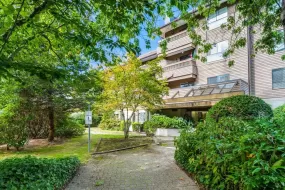 126 7431 MINORU BOULEVARD, Richmond, Richmond, BC