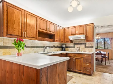 46 1725 SOUTHMERE CRESCENT image #4