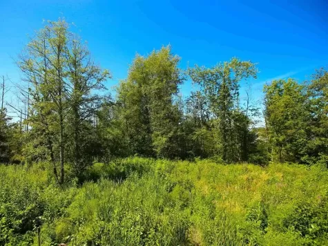 2 7635 198B STREET image #2