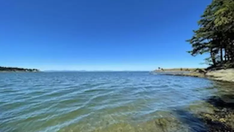 723 TUMBO CHANNEL ROAD image #1