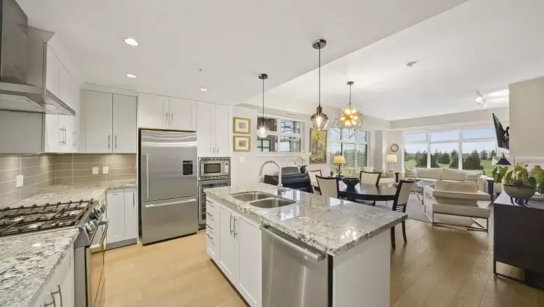 209 5011 SPRINGS BOULEVARD image #1