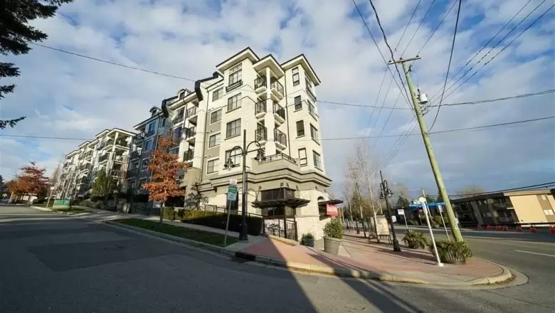211 210 LEBLEU STREET image #1