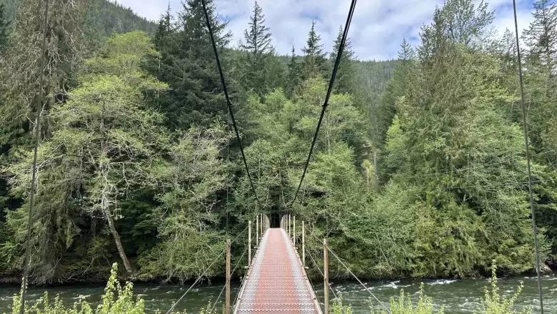 2020 MISTY'S LANE image #1