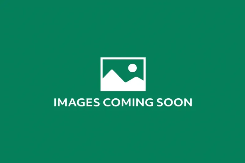 1702 188 KEEFER STREET image #1