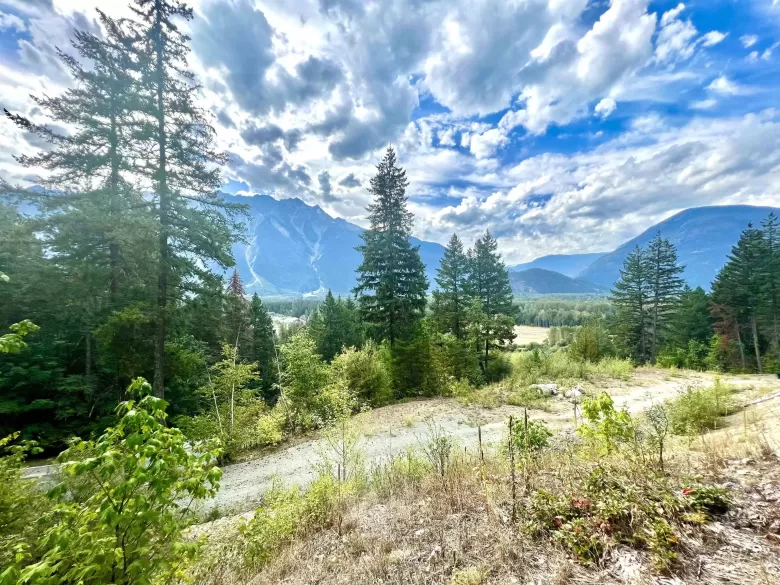 7503 PEBBLE CREEK DRIVE image #1
