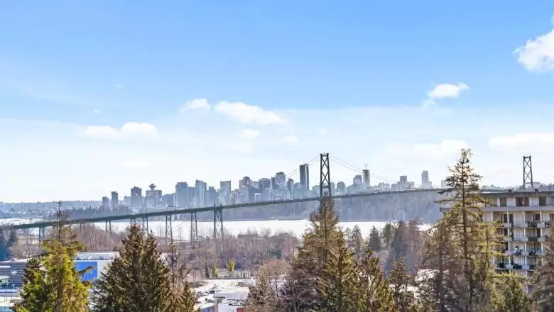 955 DUCHESS AVENUE image #1