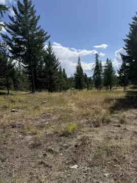 891 RAVEN HILL ROAD, FVREB Out of Town, No City Value, BC