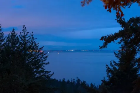 1010 COWAN POINT DRIVE image #1
