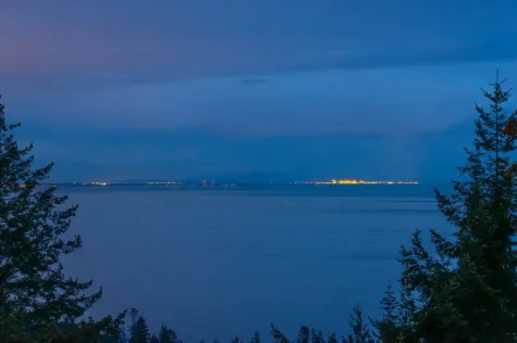 1010 COWAN POINT DRIVE image #2