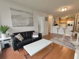 802 1295 RICHARDS STREET, Vancouver West, Vancouver, BC