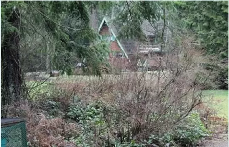19865 24 AVENUE image #1