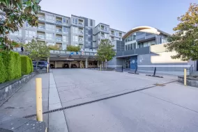 4099 STOLBERG STREET, Richmond, Richmond, BC