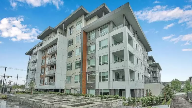 B411 20834 80 AVENUE image #1