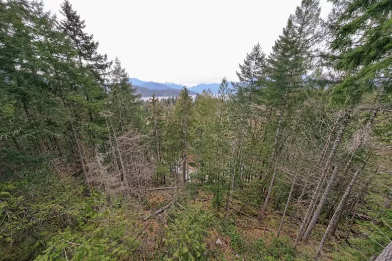 Lot 66 GREENTREE ROAD, Egmont, BC for sale